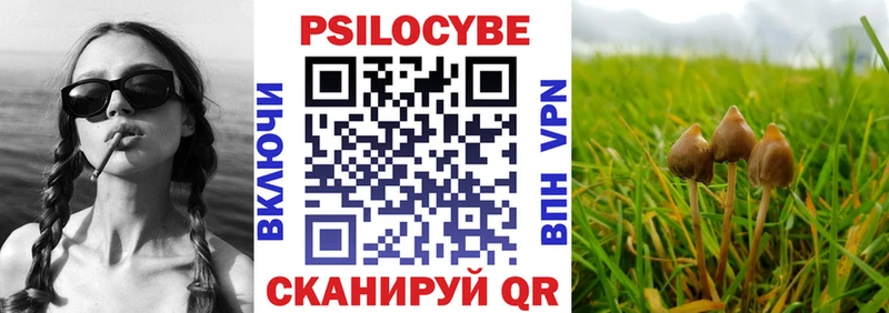 Псилоцибиновые грибы мухоморы Приозерск