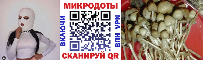 Купить где  Приозерск  Галлюциногенные грибы мицелий 