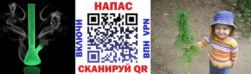 Купить где  Приозерск  Шишки марихуана сатива 
